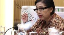 Irma Suryani Chaniago