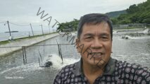 Udang Ekuador